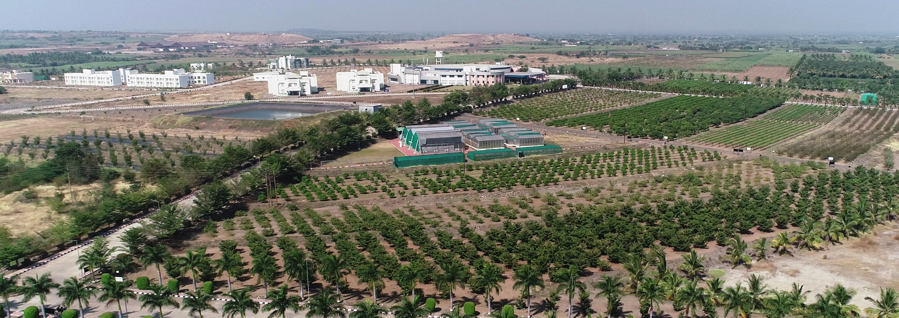 Aerial View of NIASM Orchard