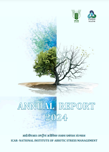 Annual Report 2024