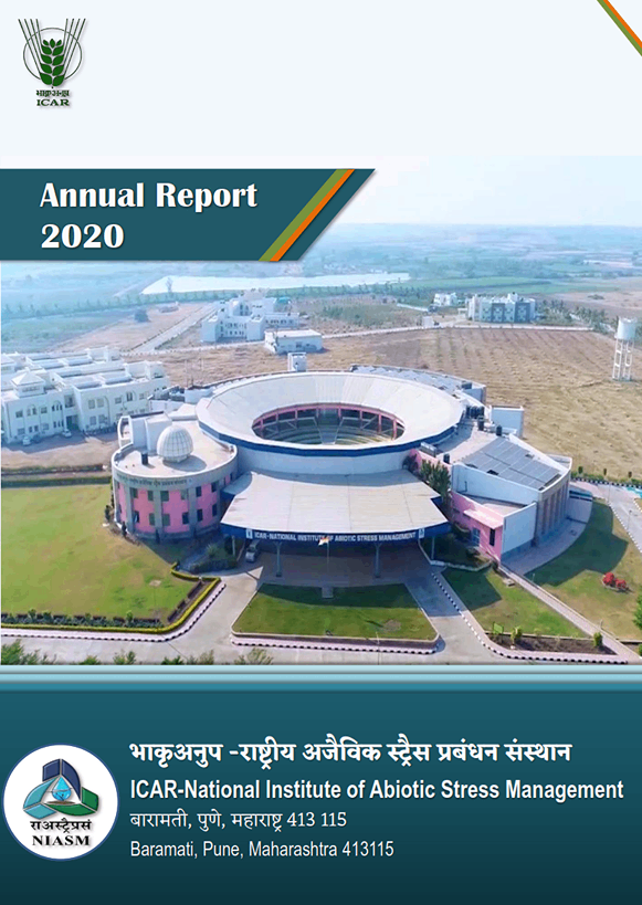 Annual Report 2020