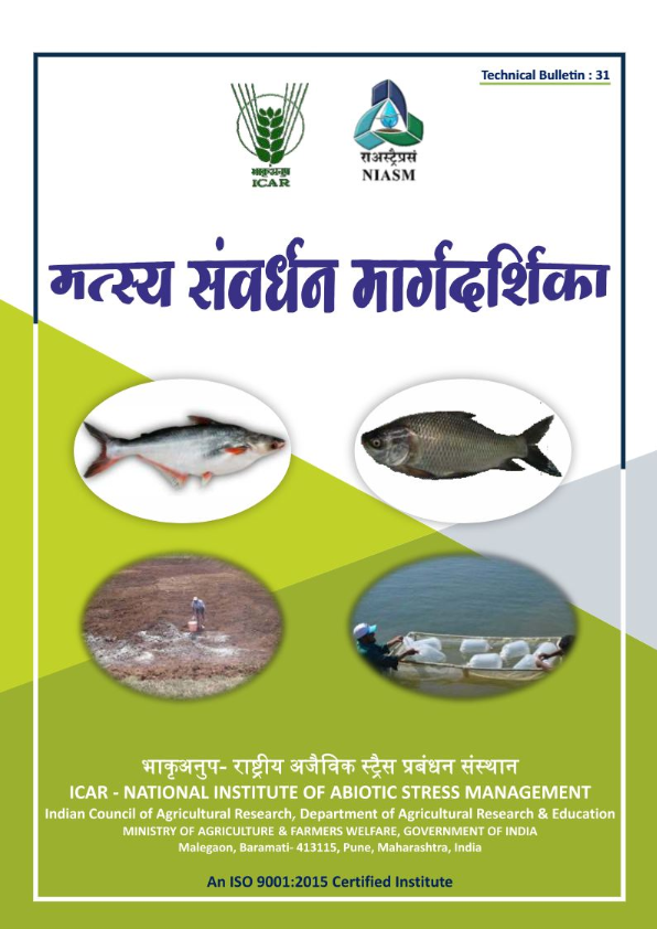 Technical Bulletin 31